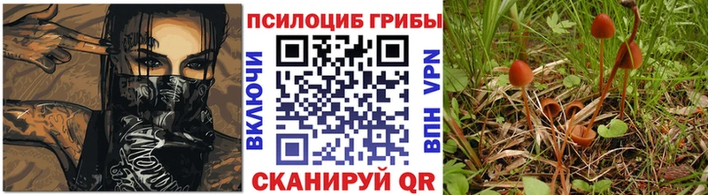 Псилоцибиновые грибы Psilocybine cubensis  Горнозаводск 
